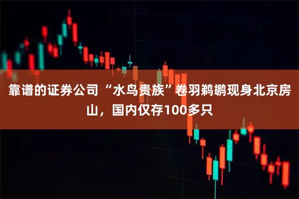 靠谱的证券公司 “水鸟贵族”卷羽鹈鹕现身北京房山，国内仅存100多只